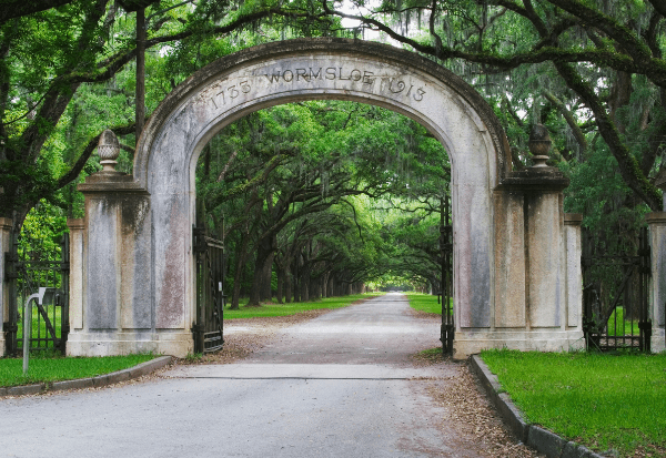 Day Trips Hilton Head