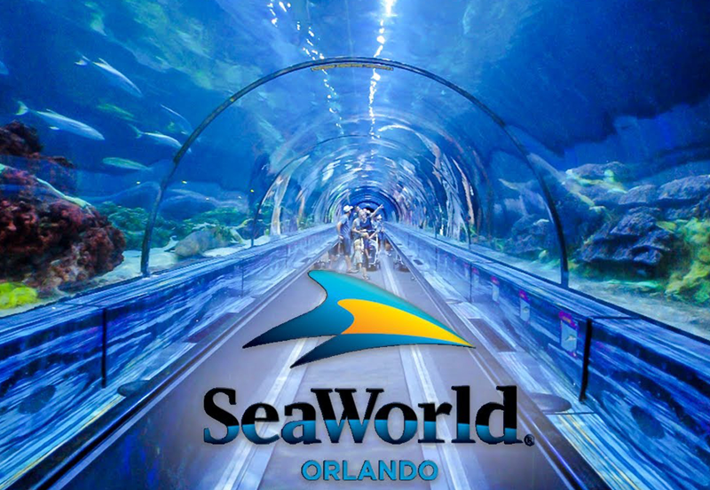 Sea World Orlando